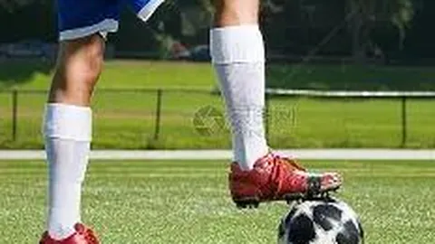 FB体育 产品 140052 q2f