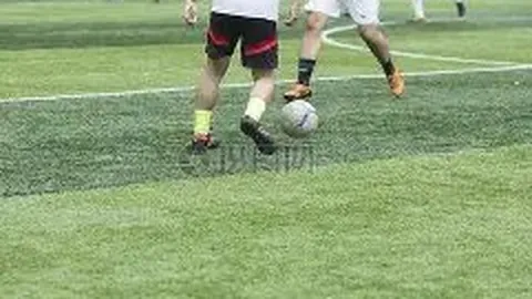 FB体育 产品 102033 hap